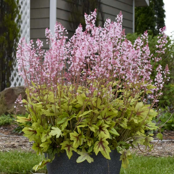 Fun And Games® 'Eye Spy' Foamy Bells - Image 3