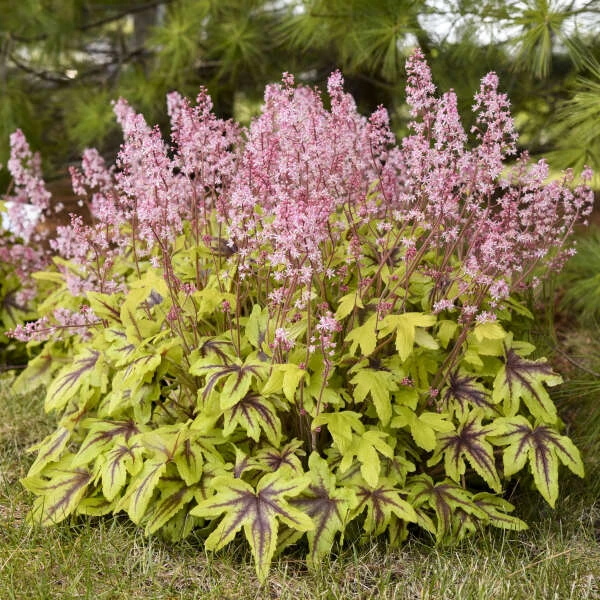 Fun And Games® 'Eye Spy' Foamy Bells